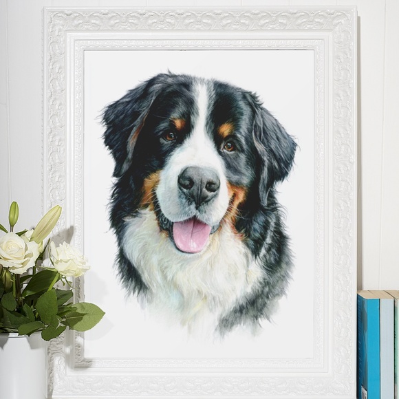 Watercolor Bernese Mountain Dog Portrait Print – Unframed Wall Art Poster - Picture 6 of 6